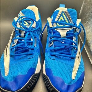 Giannis Immortality shoes worn once